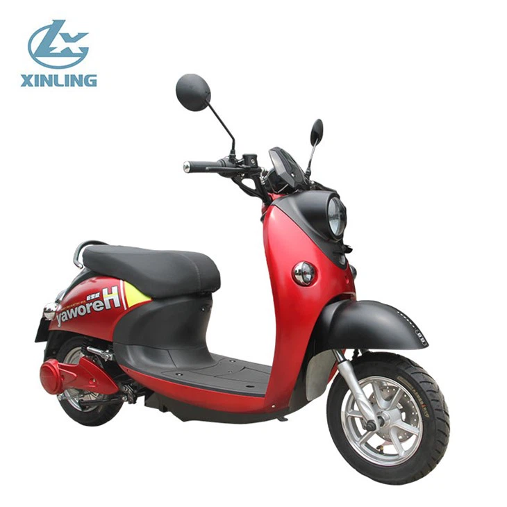 800W Electric Scooter Motorcycle